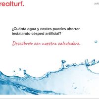 realturf